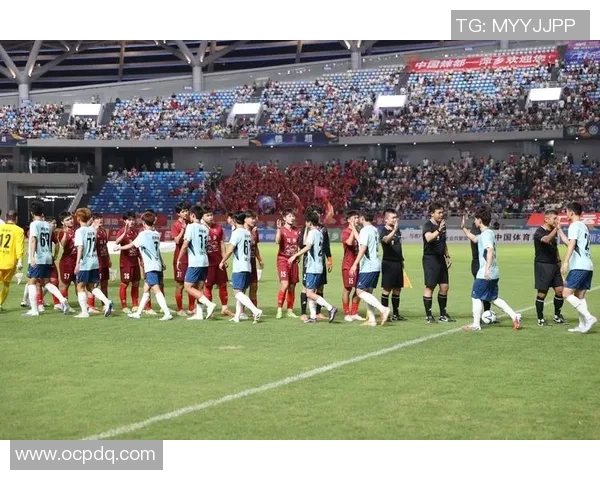 江西萍乡足球明星的崛起与成就探秘,谁是这座城市的骄傲与希望